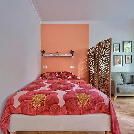 Cosy A 30 Metres De La 昂蒂布